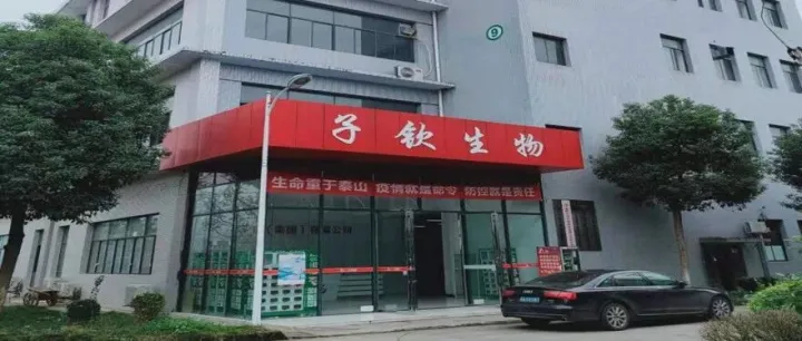 子钦集团2025年春季招聘