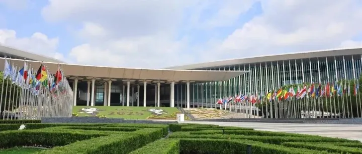 第八届进博会丨以开放合作推动可持续发展——从虹桥论坛看绿色发展