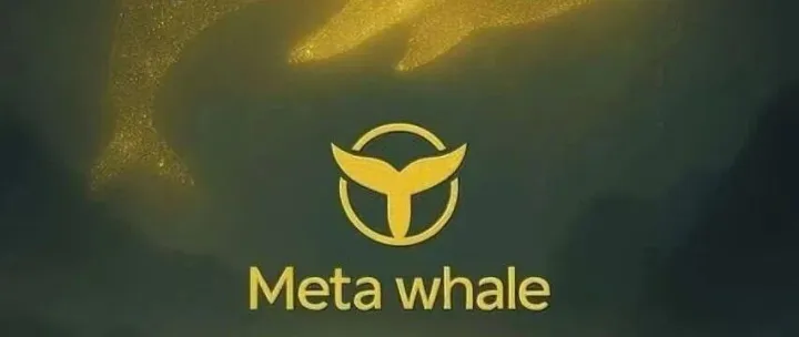 关于MetaWhale老系统遗留问题问答及解决方案，共识者必读！