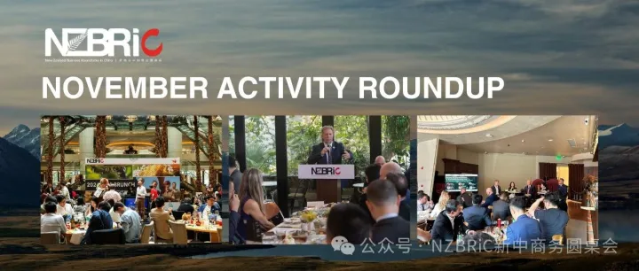 NZBRiC November Activity Roundup