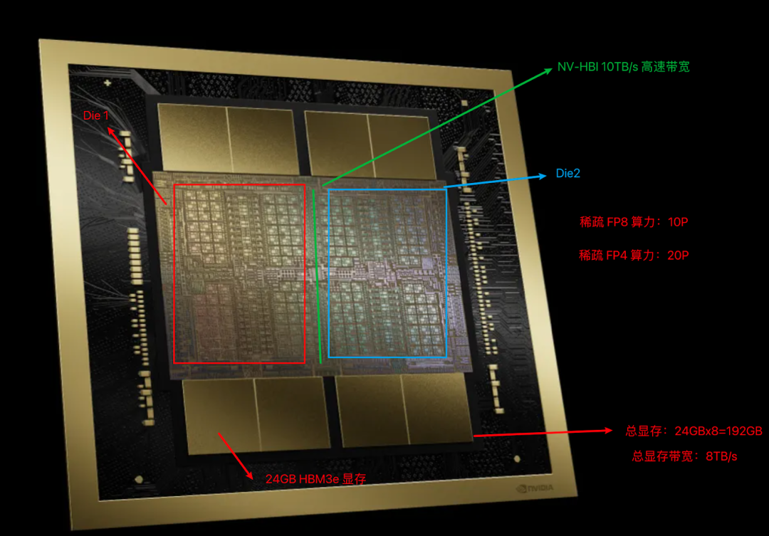 NVIDIA B200/B300/GB200/GB300 集群互联- 大数跨境