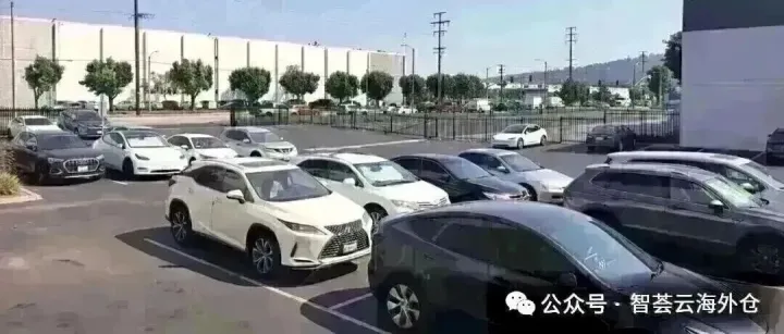 南封关，跨境电商的 “黄金机遇” 与 “破局之道”，跨境人必看！