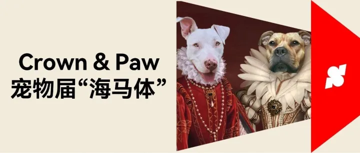 3 人团队年销千万美金？Crown & Paw 靠 POD 模式把宠物独立站做成印钞机！