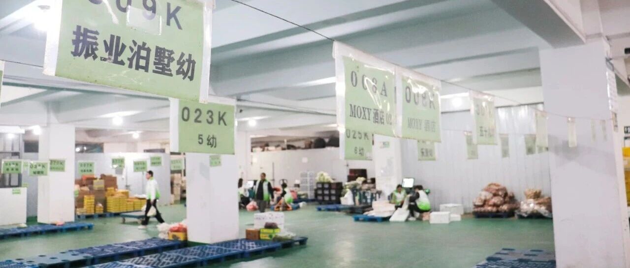 年赚8亿、毛利高出同行6倍,砍掉销售部,业绩反增300%,秘诀是…- 大数跨境