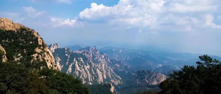 反诈反洗钱一线：新型手段频出，银行如何筑牢“科技+人工”双研判