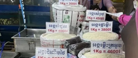 半年创收近10亿美元！走访柬埔寨米铺，发现……