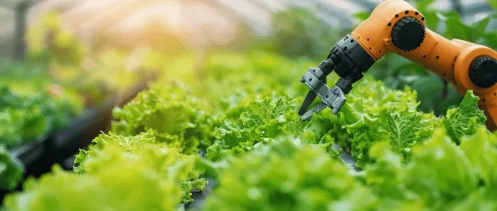 智慧农业动能强劲启新程