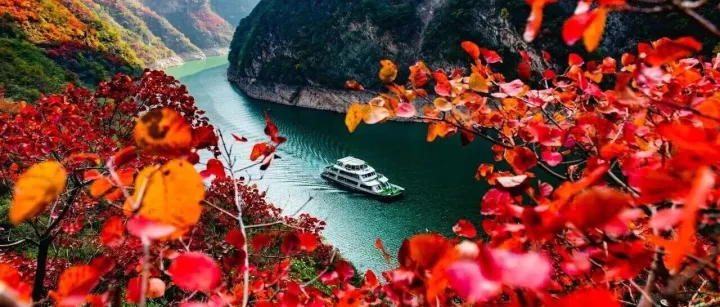 三峡生态，值得称赞