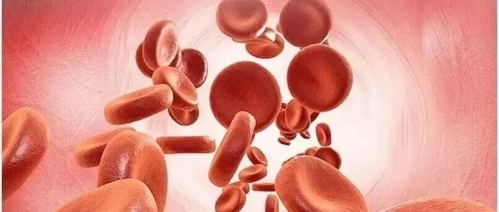 认识人参，科学使用人参之心血管