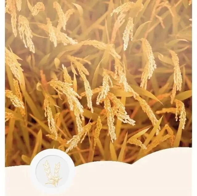 政策解读丨海关总署关于进口俄罗斯麦麸检验检疫要求