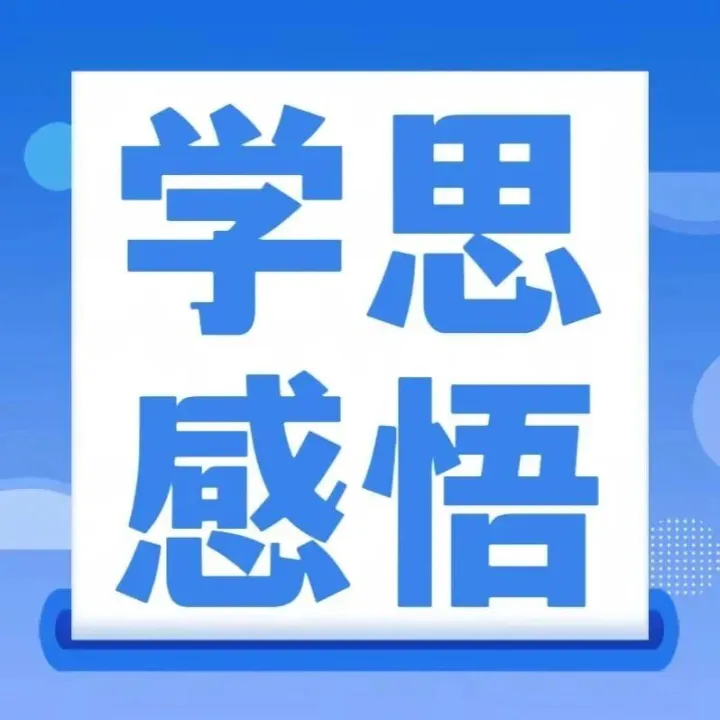 【学思践悟】深学笃行四中全会精神 以法治风控护航高质量发展