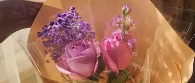 不藏了！这4类“中国货”在Ozon上卖爆了！