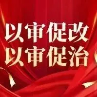 <em>錫林郭勒</em>分公司召開審計整改第三次推進會