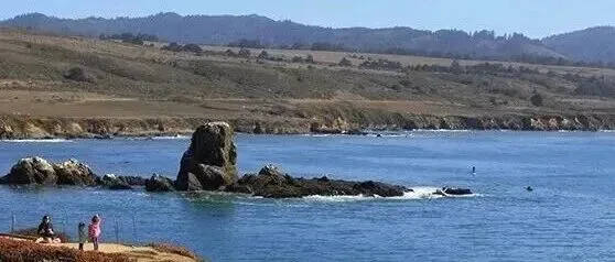 OCS与GOTS认证有何不同？一文读懂两大可持续标准