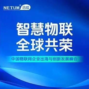 NETUM迅镭应邀参加中国物联网企业出海与创新发展峰会暨“2024物联之星”年度榜单颁奖典礼