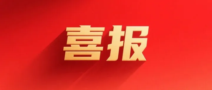 北大高科再度被认定为武汉市大数据企业！
