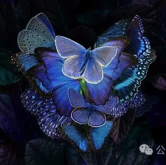 PS 2026 27.0.1 3255 专业版｜AI修图大升级，星形工具+刺绣滤镜一键出片，Win/Mac免费装！