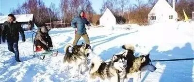 冬季内蒙是什么样子？网友狂呼：我要去