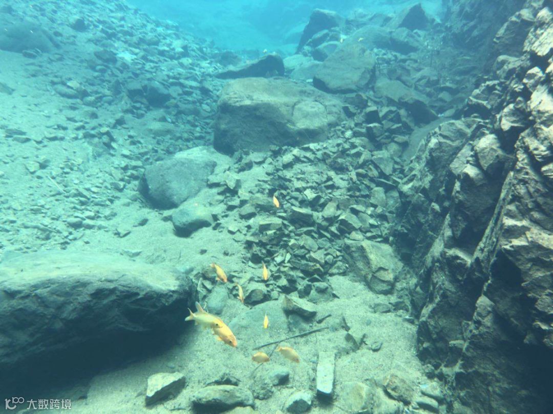 图片5 - 副本.png