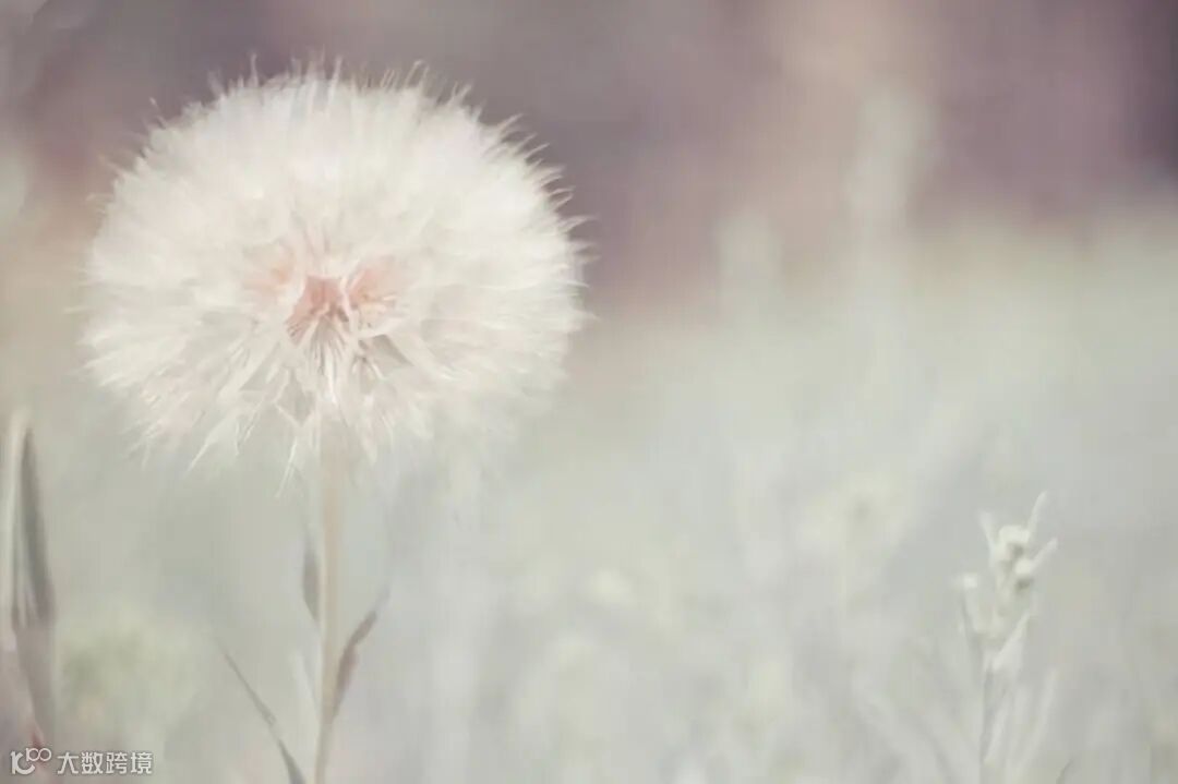 当高三遇上母亲节丨给妈妈最好的礼物,就是陪伴