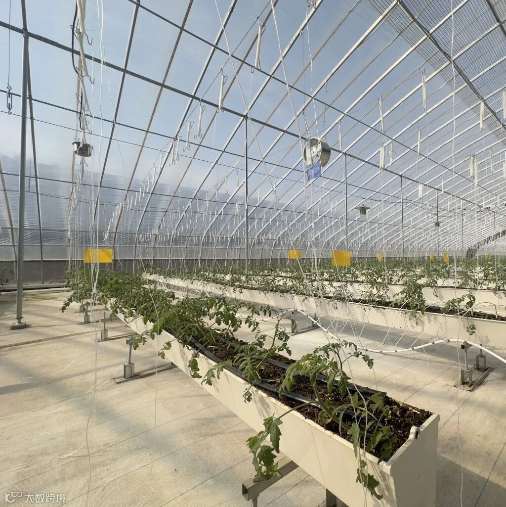 2025-09-26 093851.jpeg