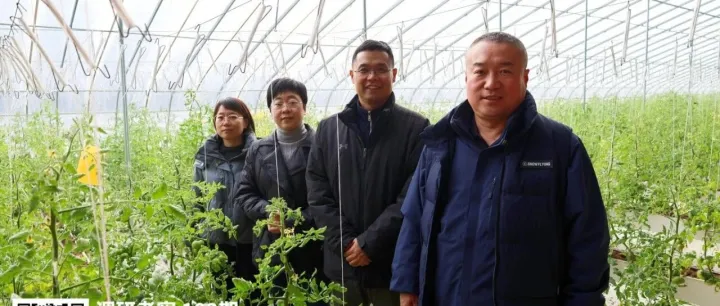 双向赋能 共赢发展 | 科芯与渤海大学共筑人才与实践新高地