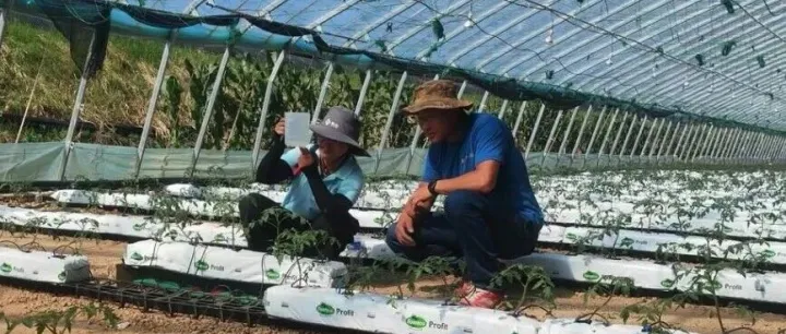 科技助农·雏鹰农场 | 完美收官