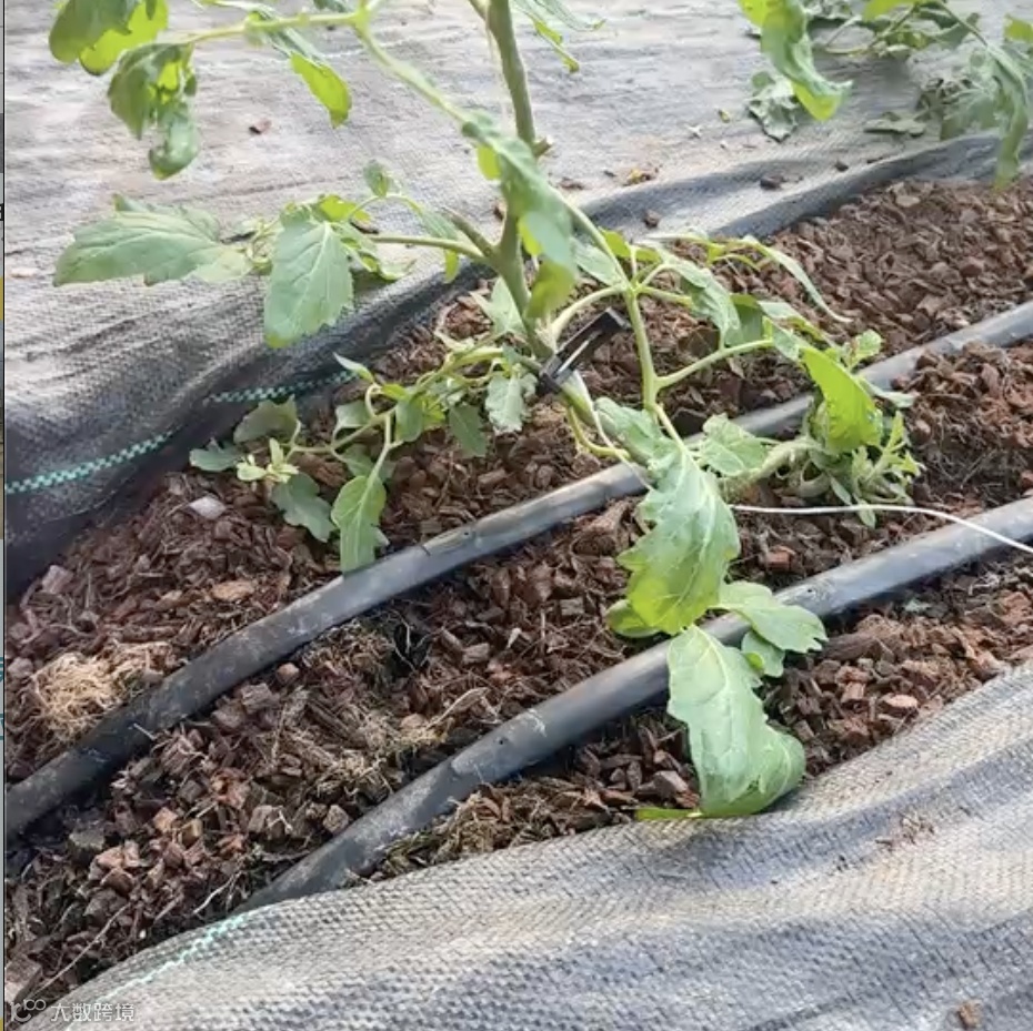 截屏2025-11-30 下午6.22.50.png