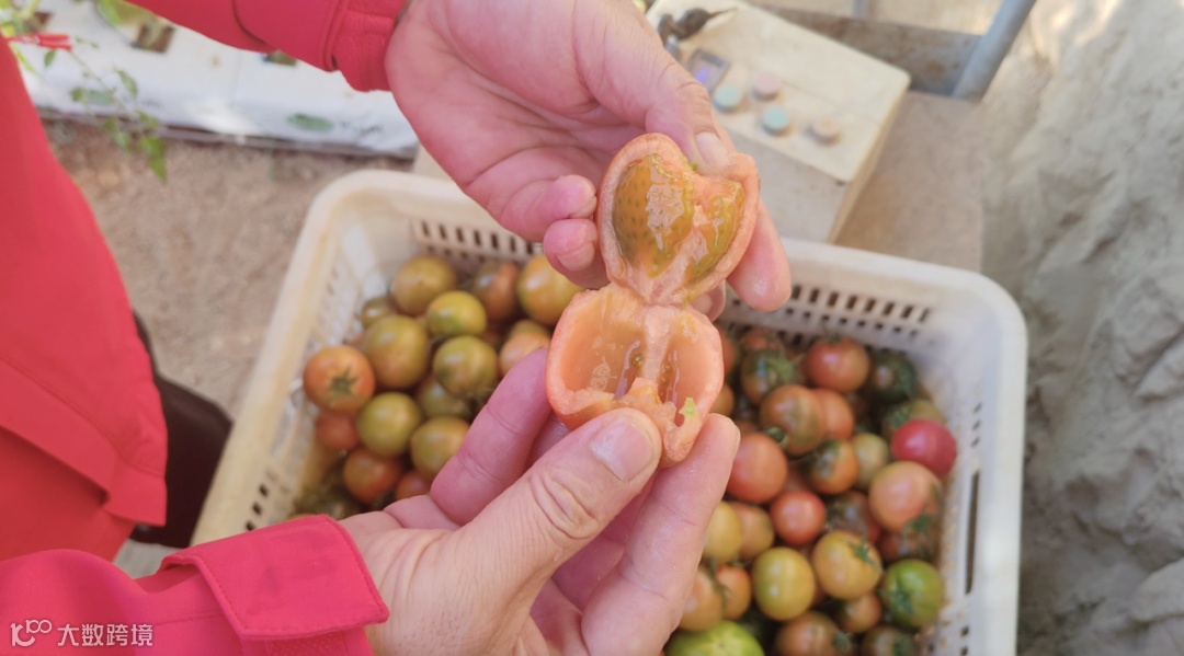 截屏2025-12-05 下午3.02.15.png