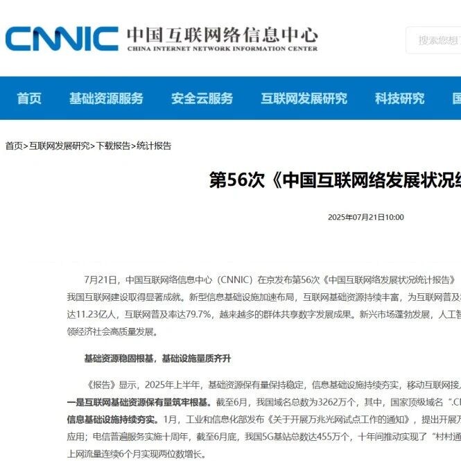 中国互联网络信息中心(CNNIC)发布第56次《中国互联网络发展状况统计报告》- 大数跨境
