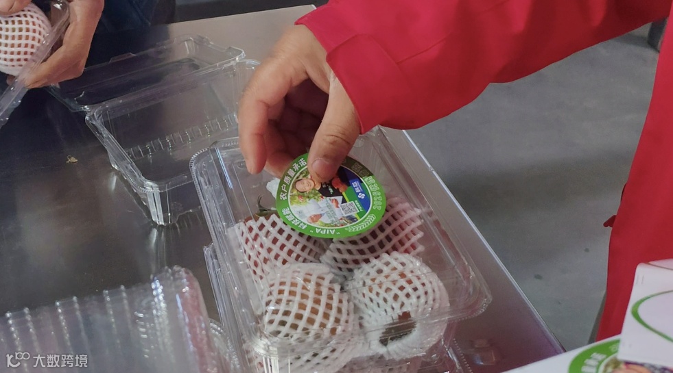 截屏2025-12-05 下午3.35.37.png