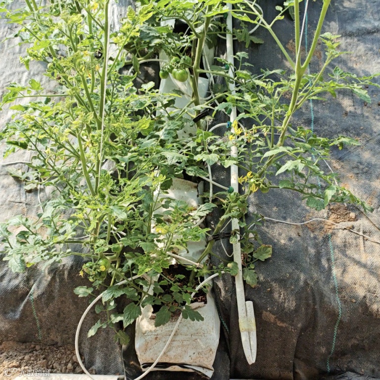 截屏2025-11-30 下午5.48.33.png