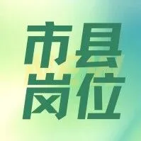 电竞赛事执行助理，工作11天