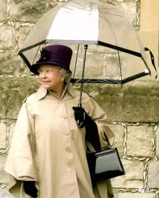 听说南方总下雨,给你推荐几把伞