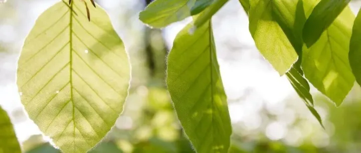 成本预警：欧盟ETS全面覆盖将影响物流费用