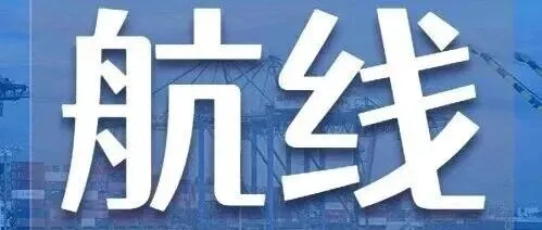 涨价！最高1000美元！达飞宣布：多条航线运价调整！