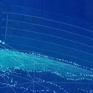 青年创新团队项目215项，重点实验室项目144项