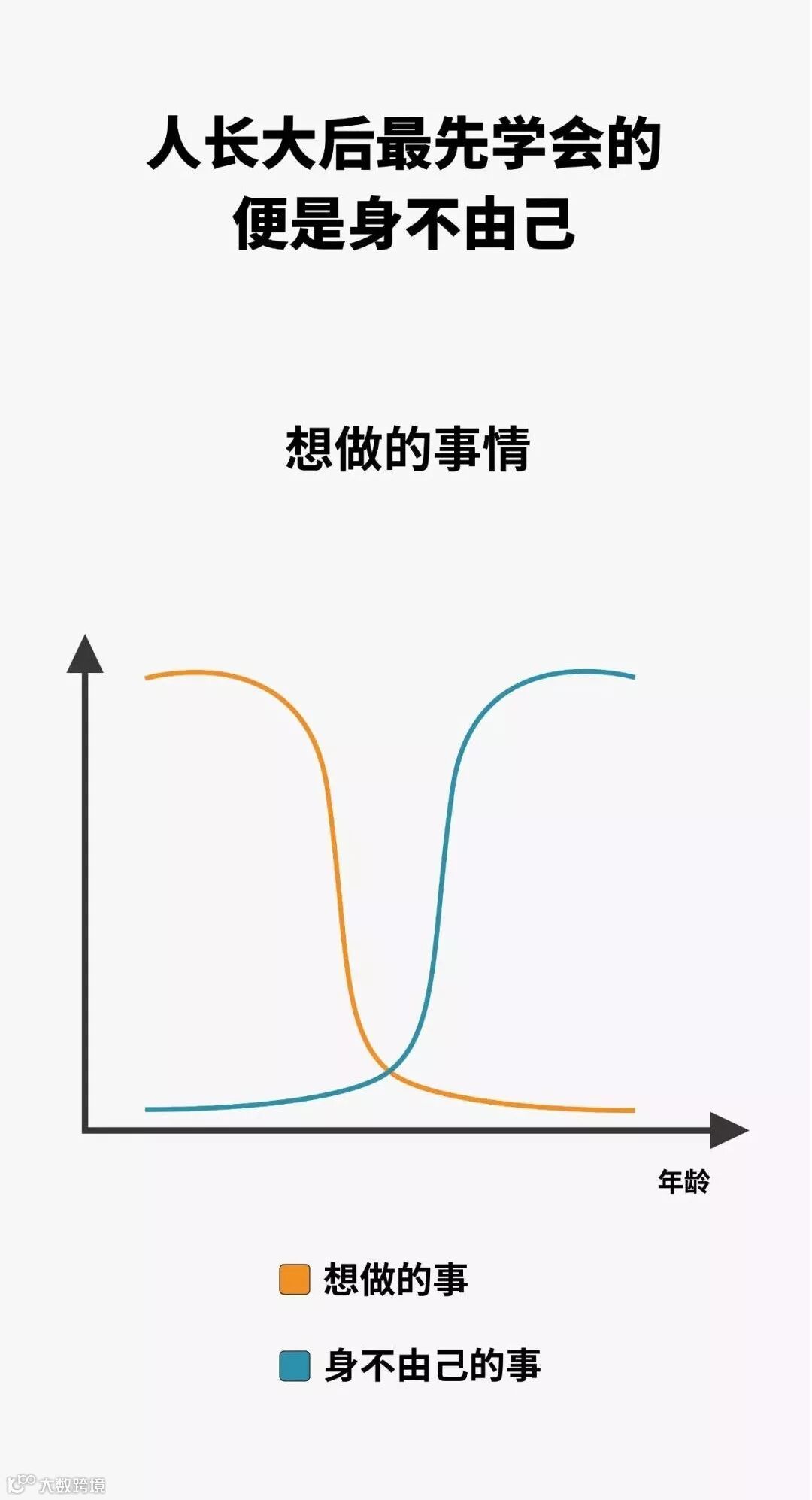 况_画板 1 副本 21.jpg