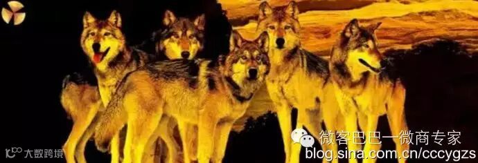 重庆 <wbr>《财智系统之飞鹰计划 <wbr>》 <wbr>21015年10月23-25日 <wbr>13996295984