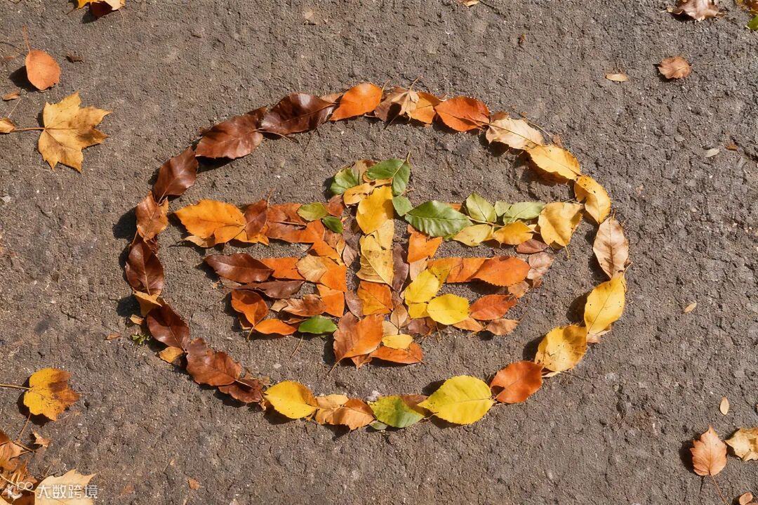 落叶拼图.jpg