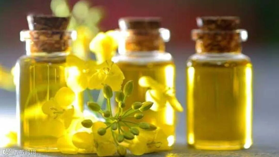 俄农产品出口发展中心:今年前两个月俄对华菜籽油出口增加17%