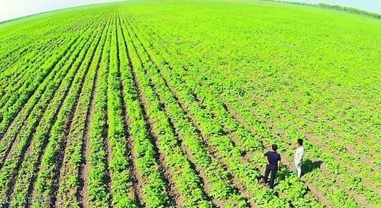 点击查看源网页