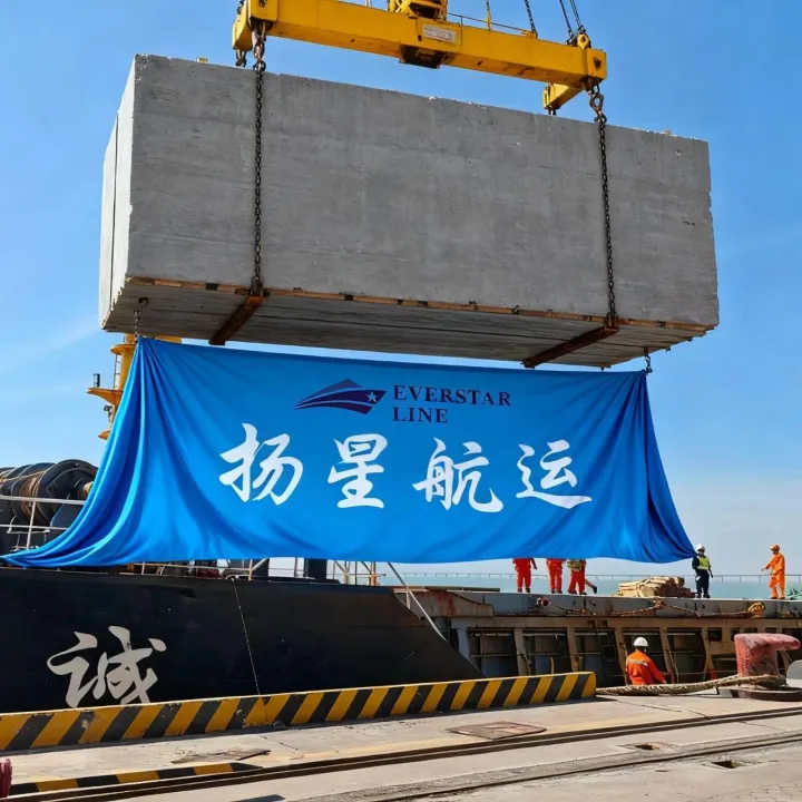 2025年12月大中华区散杂船期表(第51周)欧地黑南北美非澳 - SAILING SCHEDULE