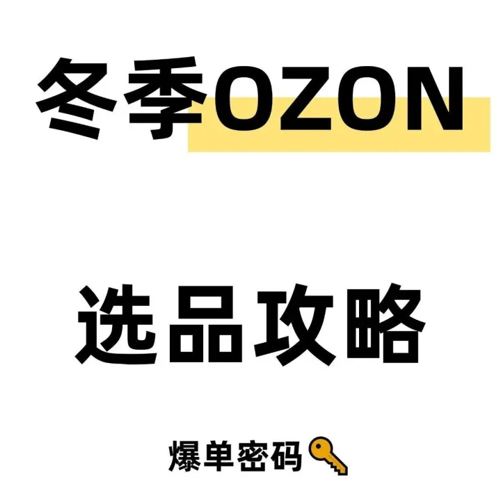 冬季OZON选品攻略来啦！让你快速爆单！
