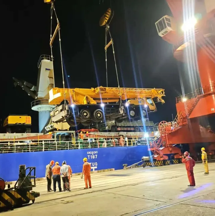 2025年11月大中华区散杂船期表(第45周)欧地黑南北美非澳 - SAILING SCHEDULE