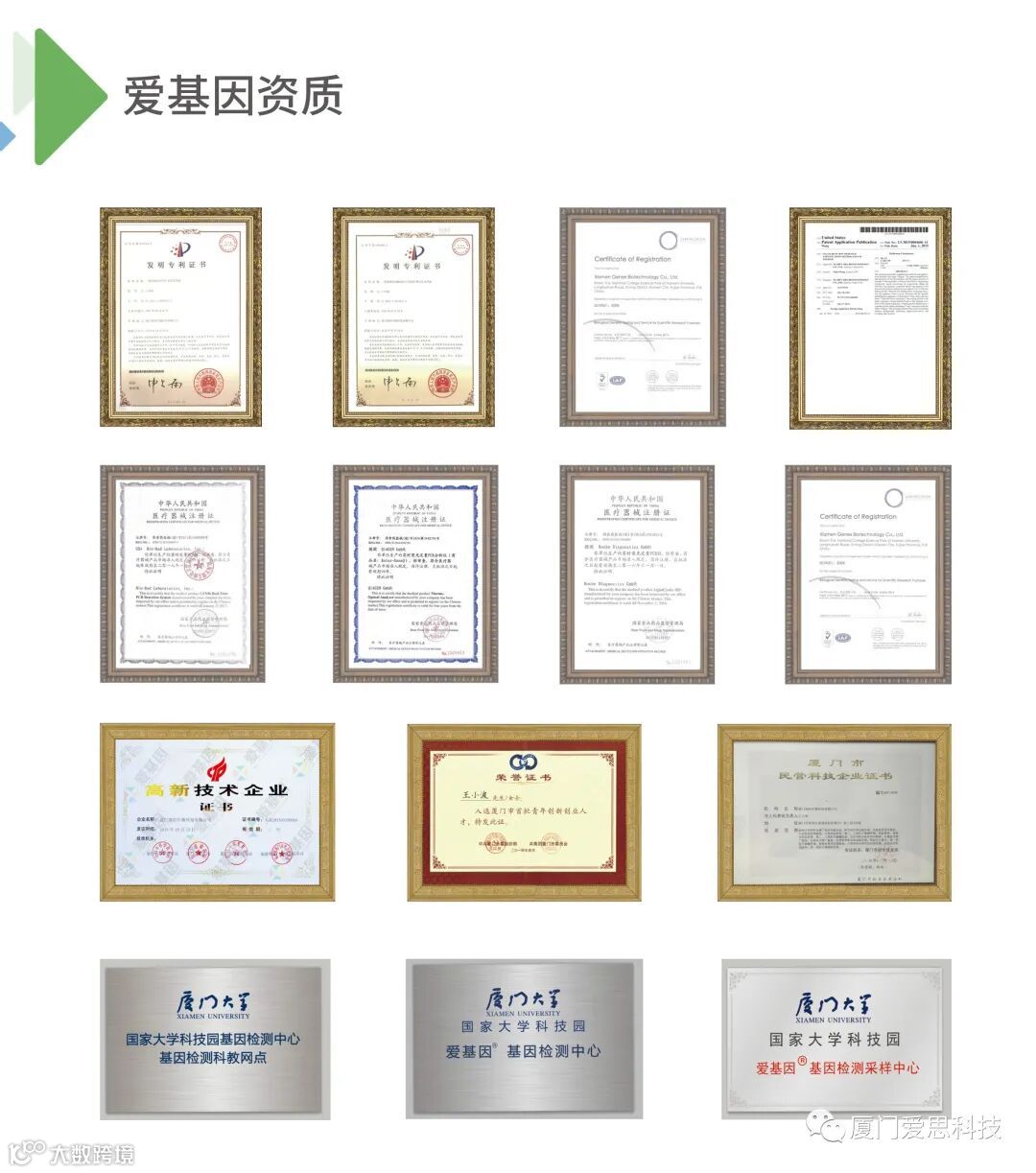 爱基因荣誉资质