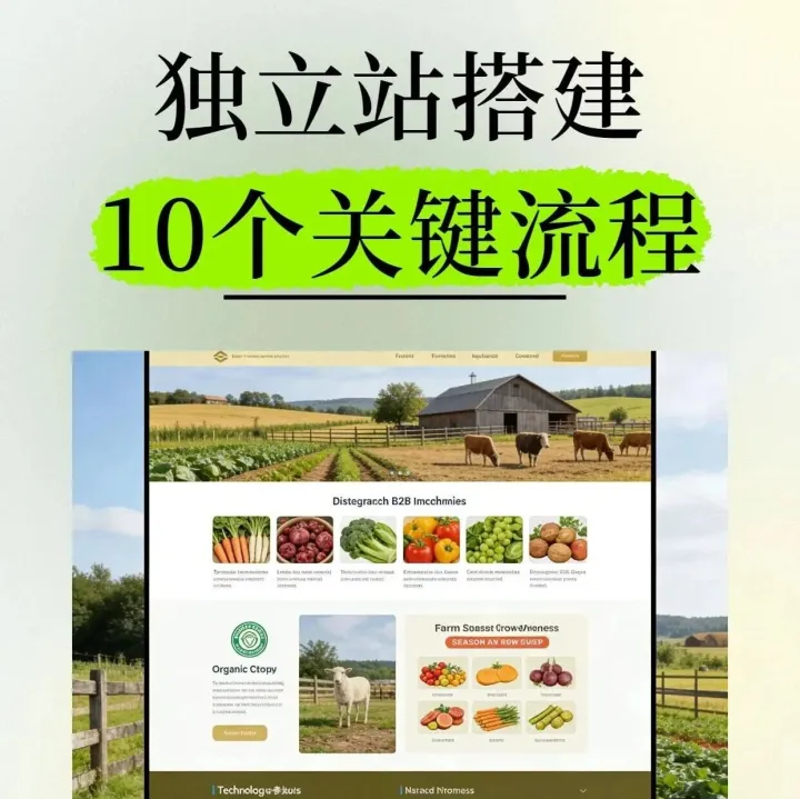 独立站搭建关键流程