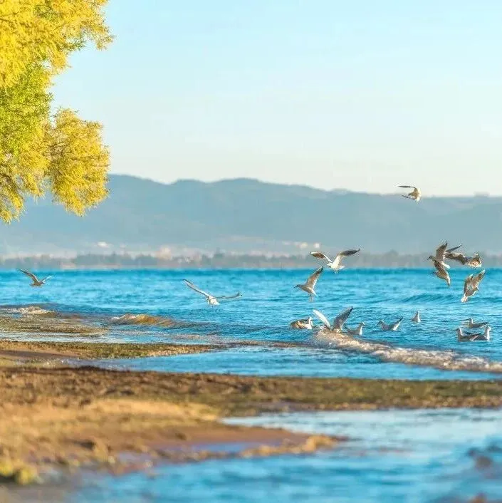 【2-6人私家团】云南0.25倍速的慢生活，终于也是让我体验上了