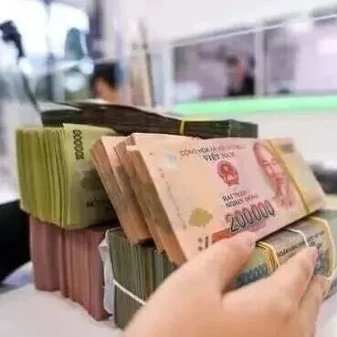 2026年越南外汇及利率预测