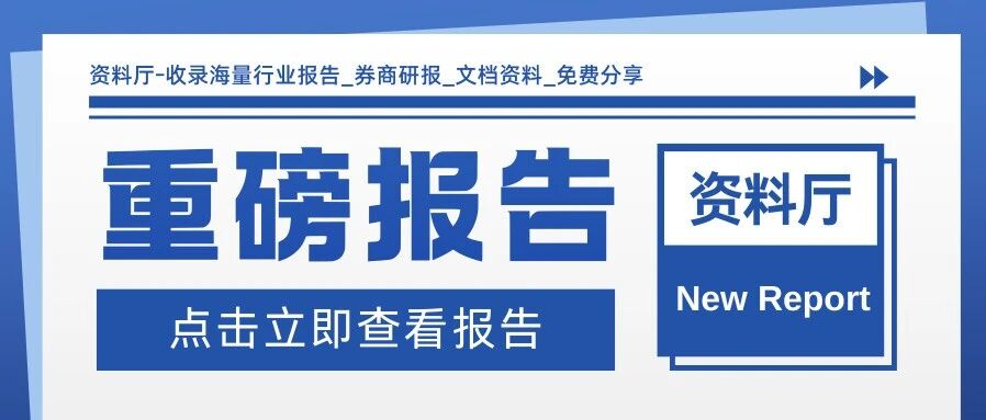 重磅丨2026年国际人工智能安全报告：网络攻防新态势，AI是救星还是灾难？- 大数跨境